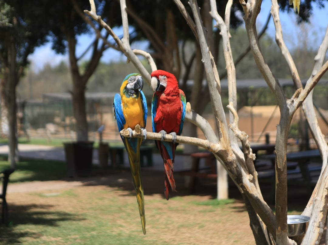 Le Zoo d'Agadir-阿加迪尔必去景点