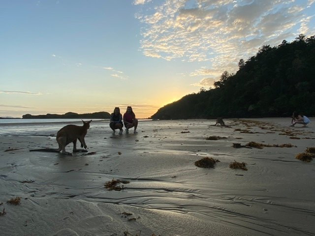 Sacred Owl Tours (Port Douglas)-道格拉斯港必去景点