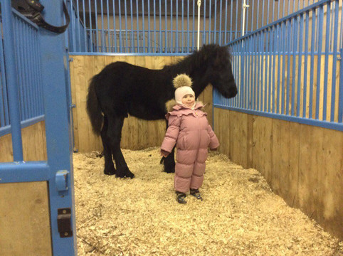 Kronshtadt Equestrian Club-喀琅施塔得必去景点