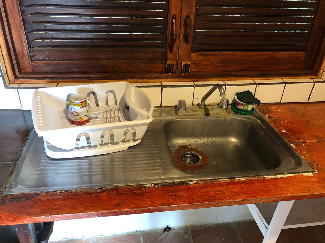 Howler Monkey Hotel主图