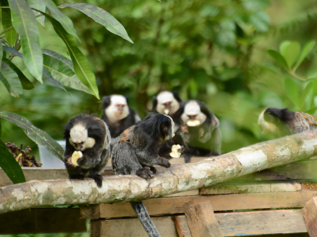 Hotel Espaco Verde主图