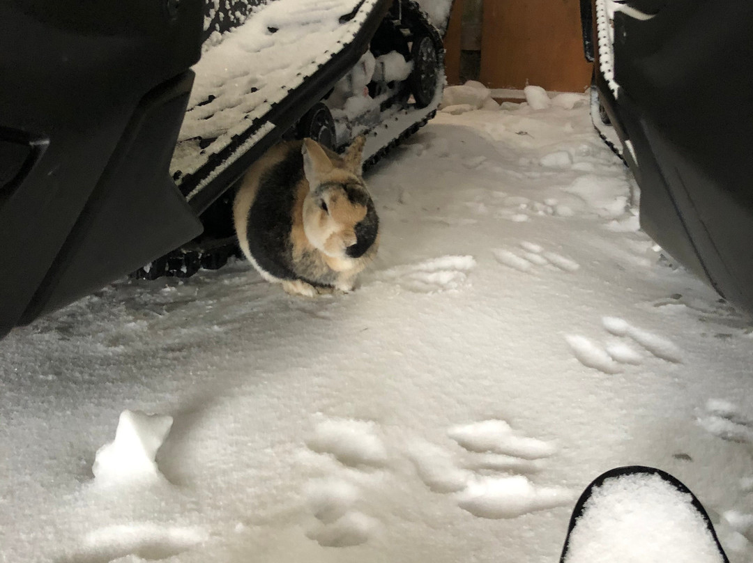 Restaurant La Glaciere