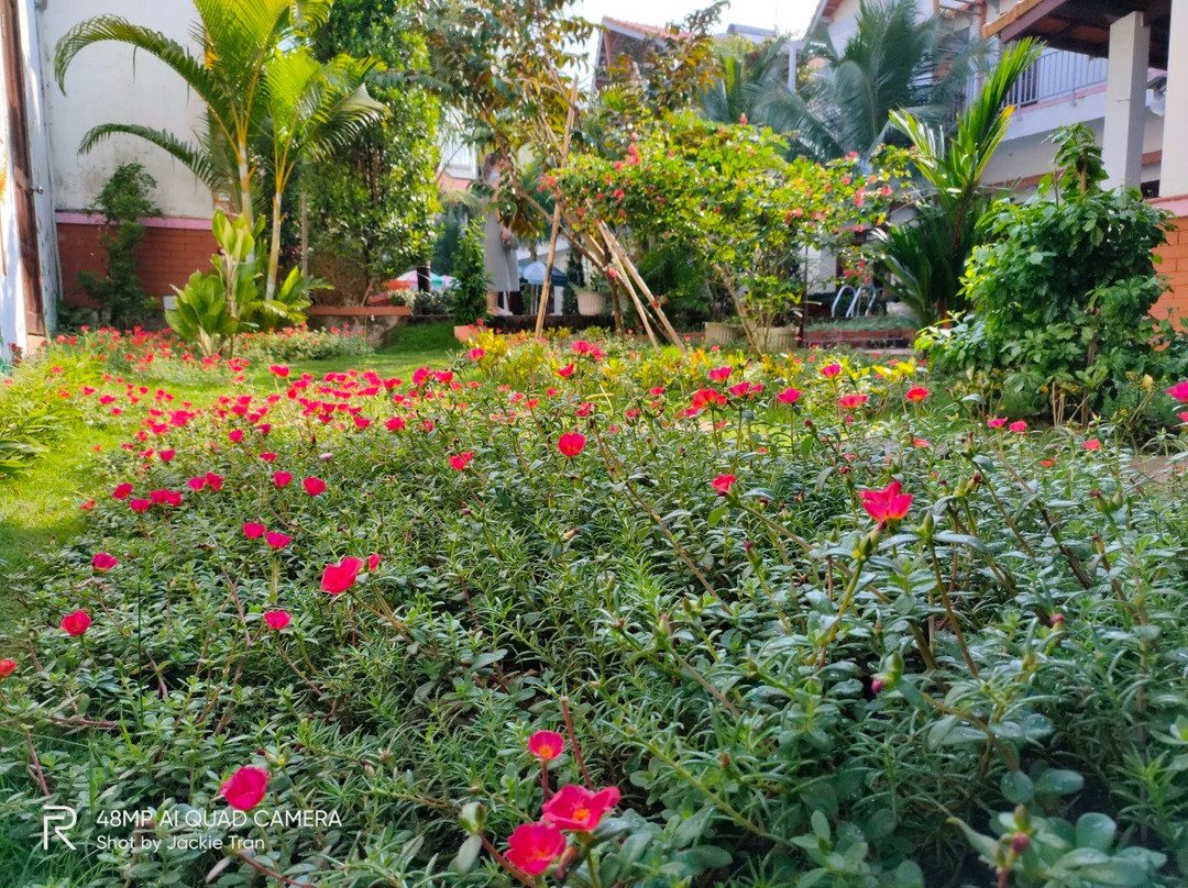 Camellia Resort & Spa主图