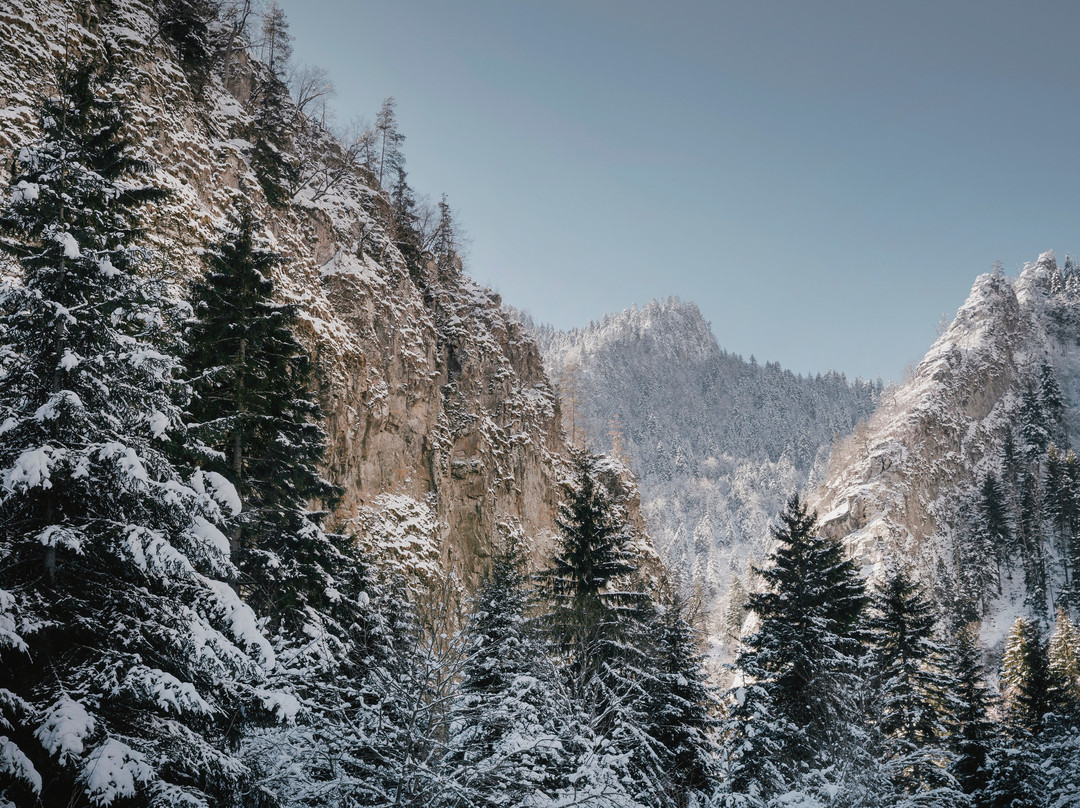 null-Borjomi-Kharagauli National Park