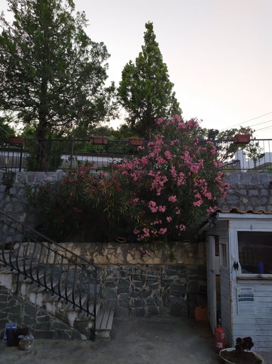 Elios Residence主图