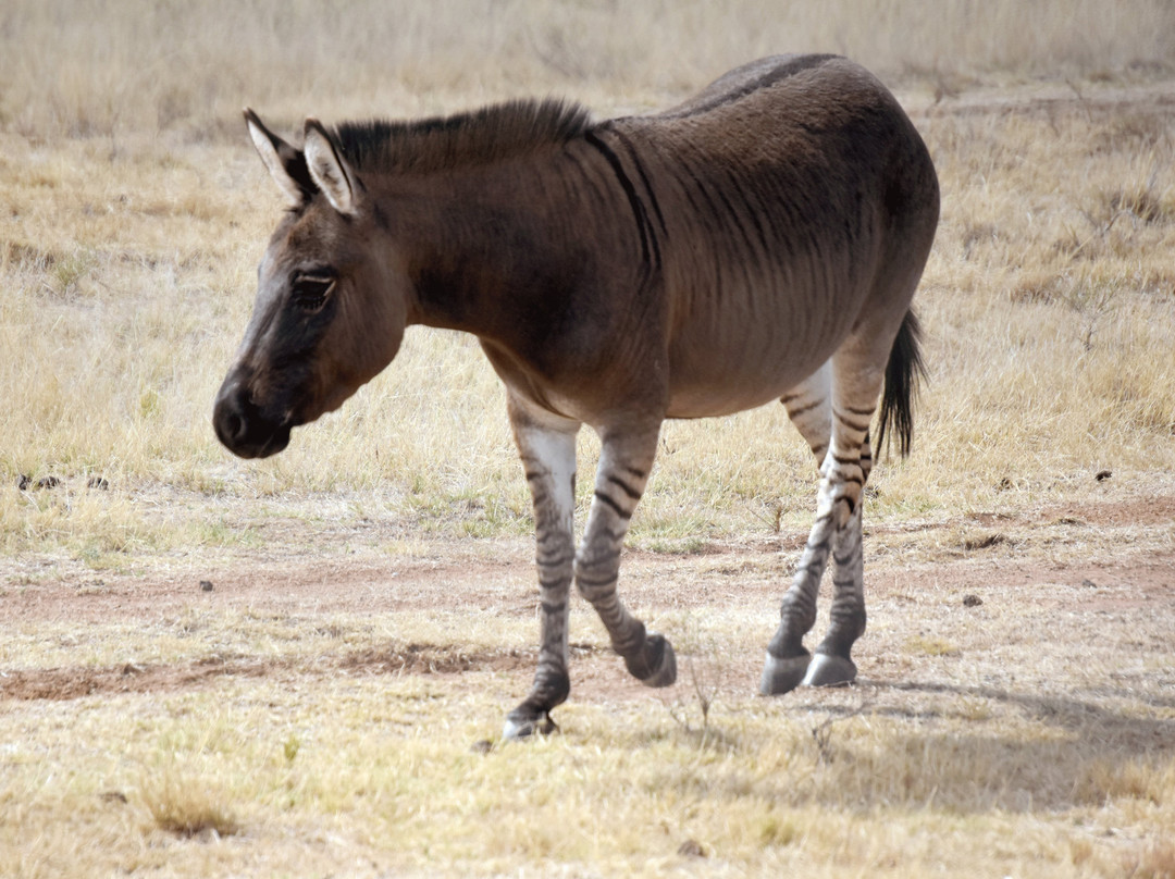 Blue Rain Guest House主图