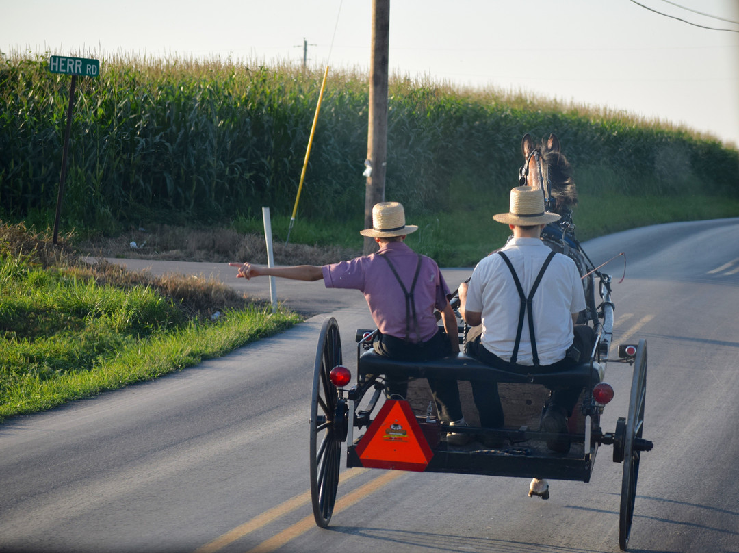 The Amish Farm and House景点图片