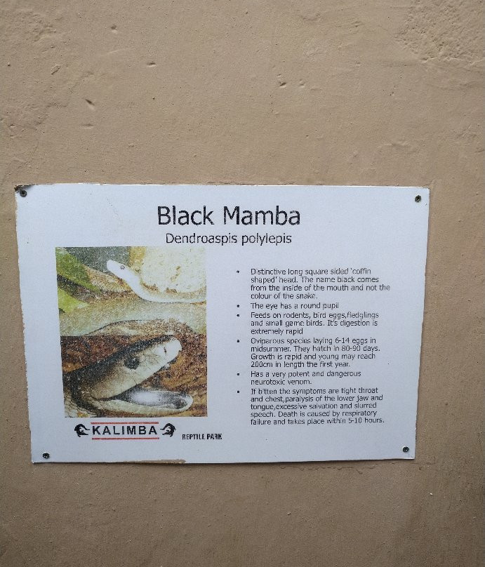 Kalimba Reptile Park景点图片