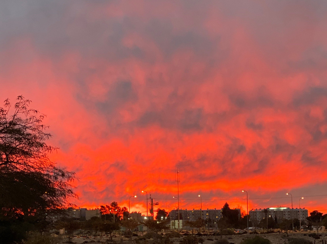 Via Sabra - Unfolding Israel-Kefar Sava必去景点