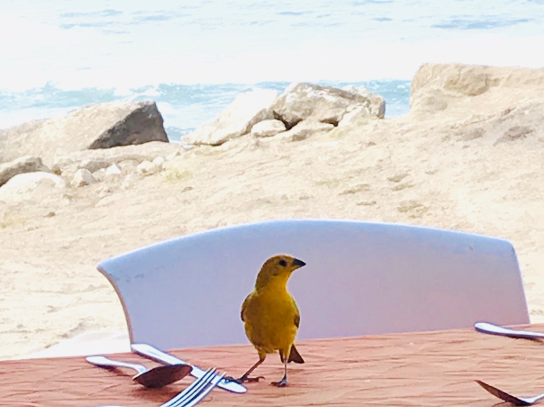 Howard Johnson by Wyndham Montanita主图