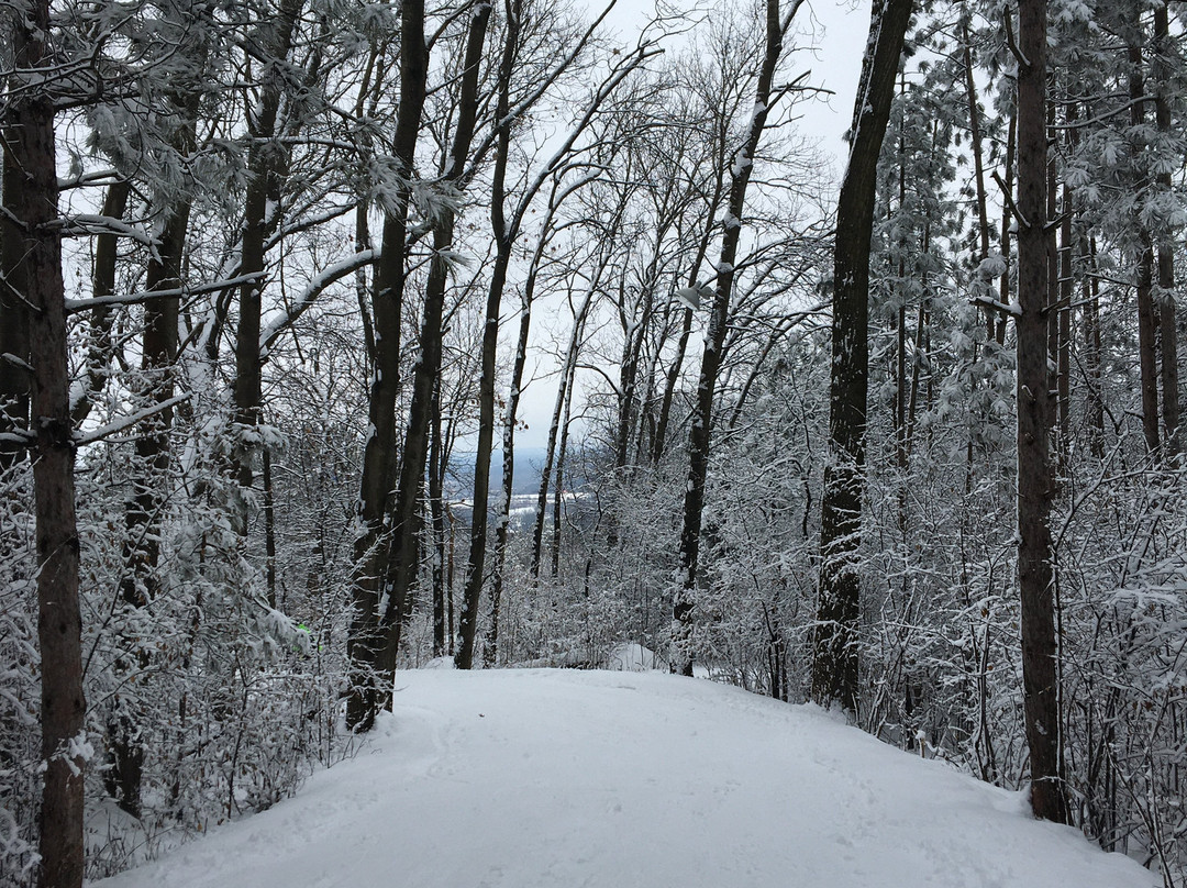 Cascade Mountain-Portage必去景点