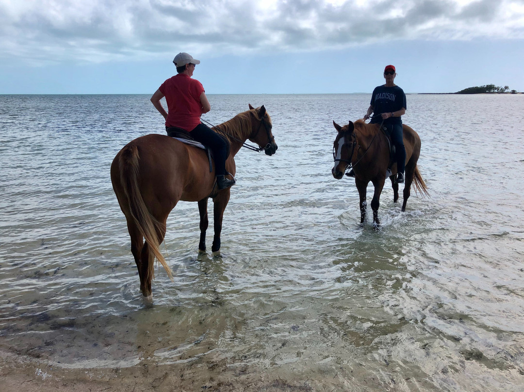 Happy Trails Stables, Windsor Equestrian Centre-新普罗维登斯岛必去景点