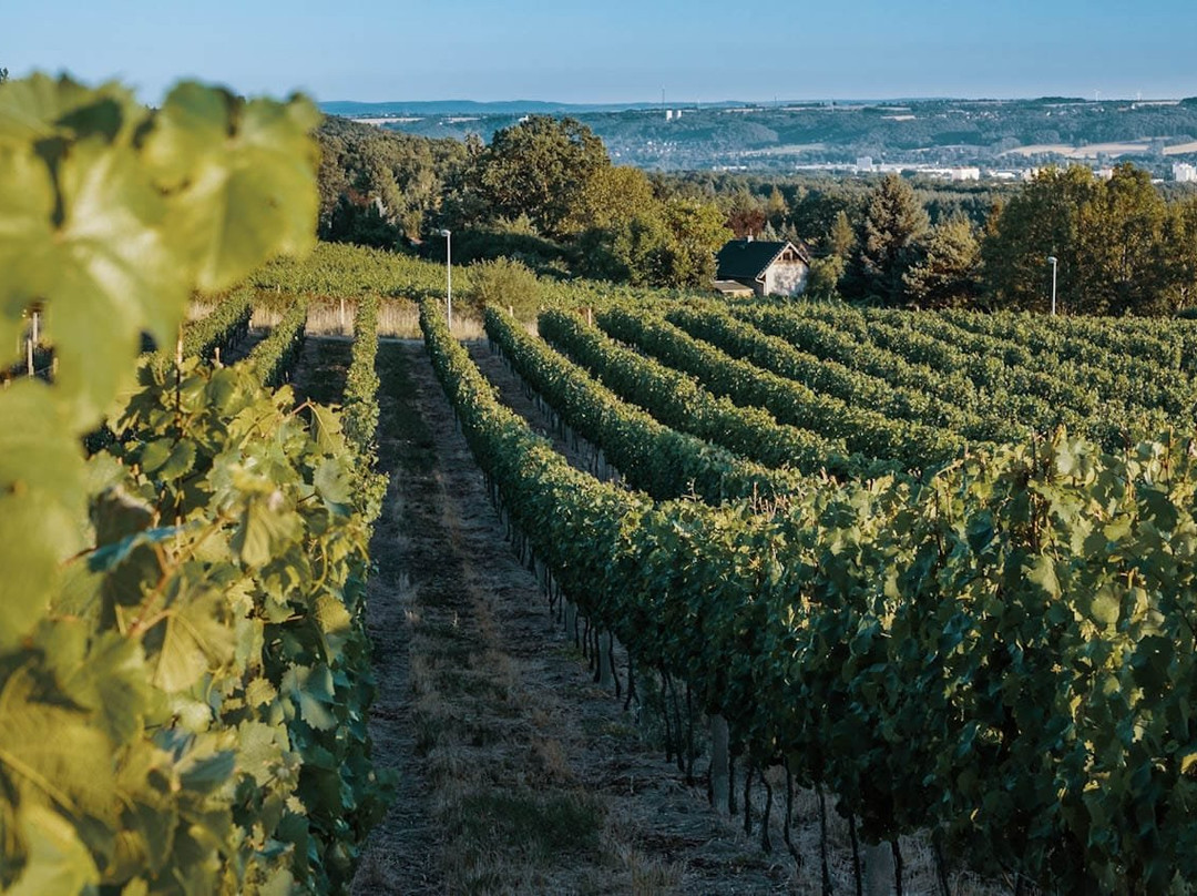 Weingut Henke-Soernewitz必去景点