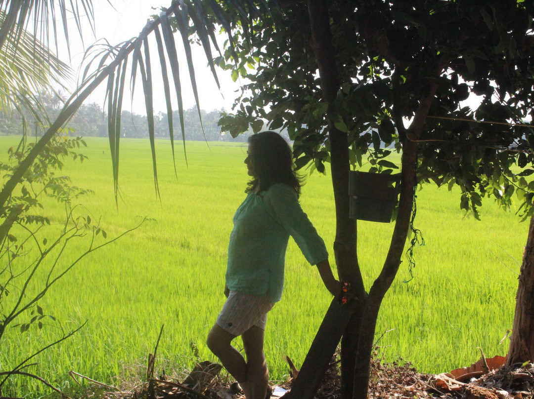 Ayana's Homestay主图