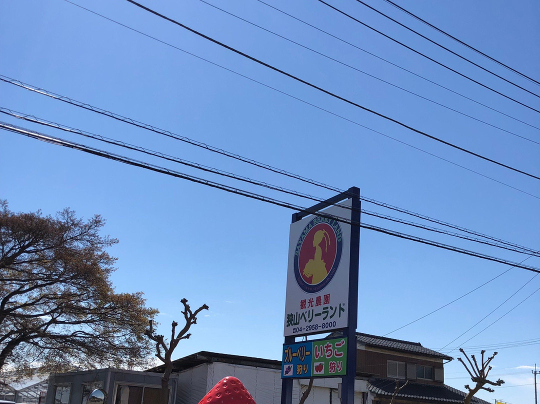 Sayama Berry Land-狭山市必去景点