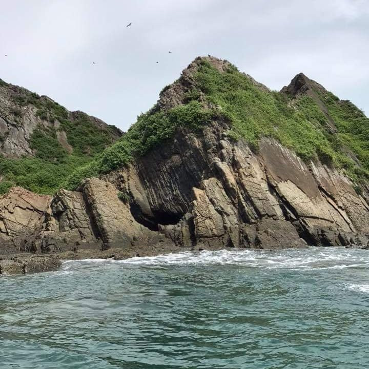 Ballena Tour Costa Rica景点图片
