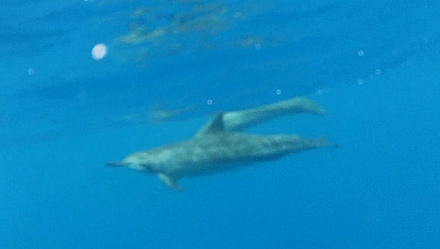 Bay Side Adventures-库克船长必去景点