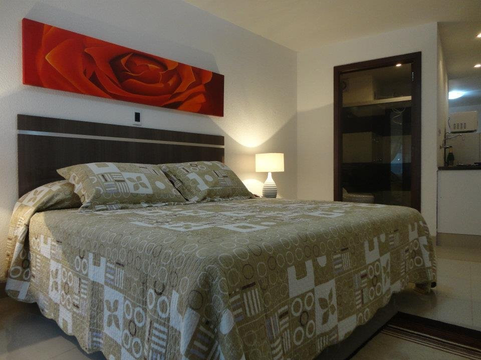 Suites Apart Hotel Ortiz主图