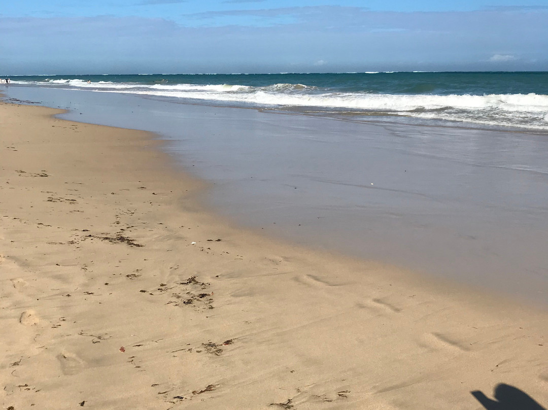 Ocean Park-圣胡安必去景点