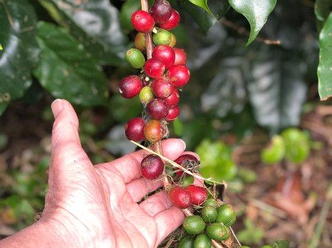 Dr. Fun Tours-奥乔里奥斯必去景点