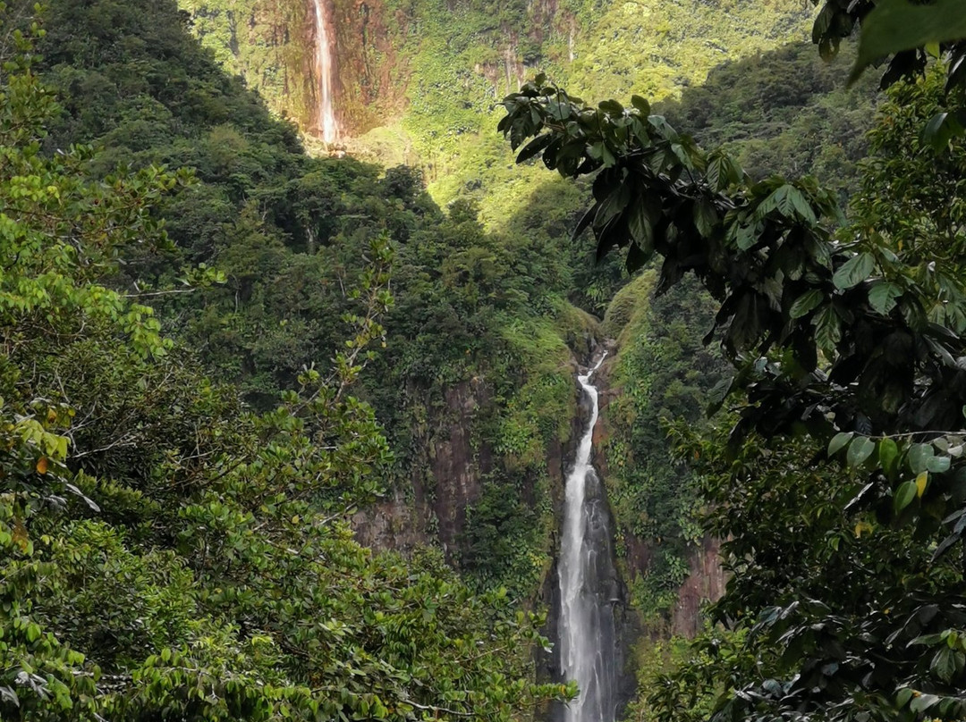 Carbet Falls (Les Chutes du Carbet)景点图片