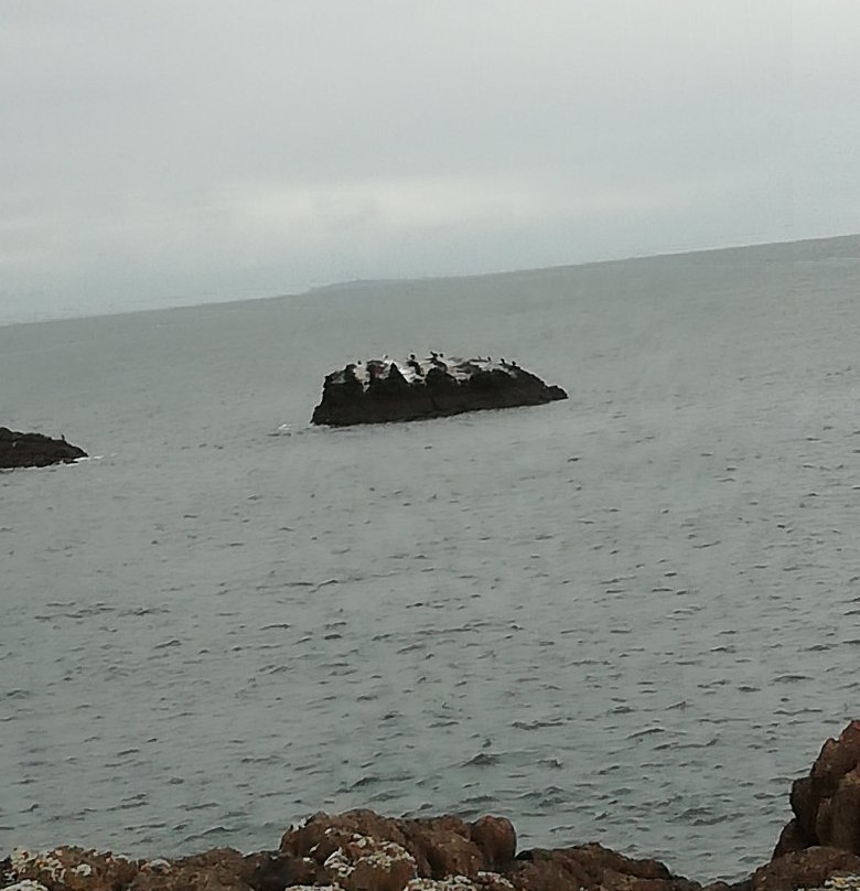 Dunbar Castle-Dunbar必去景点