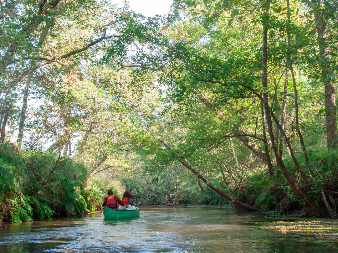 Lou Canoe景点图片