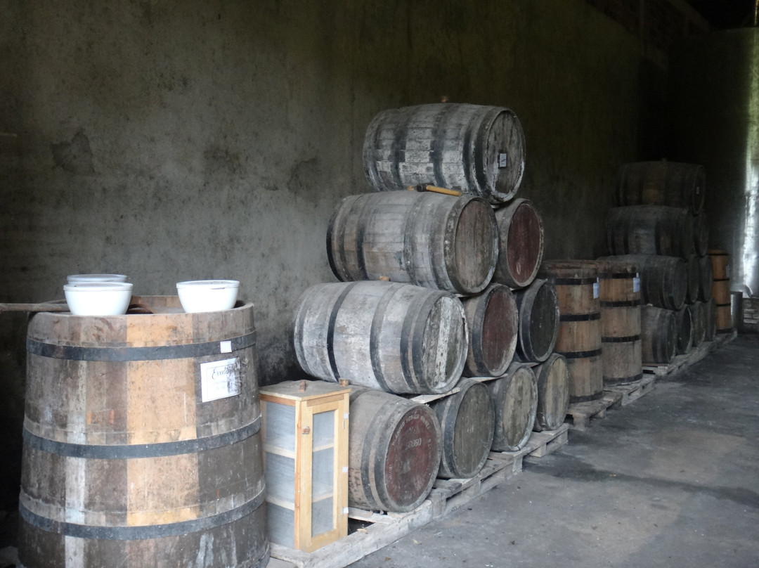 Alambique Cachaça Excelência-Passa Quatro必去景点