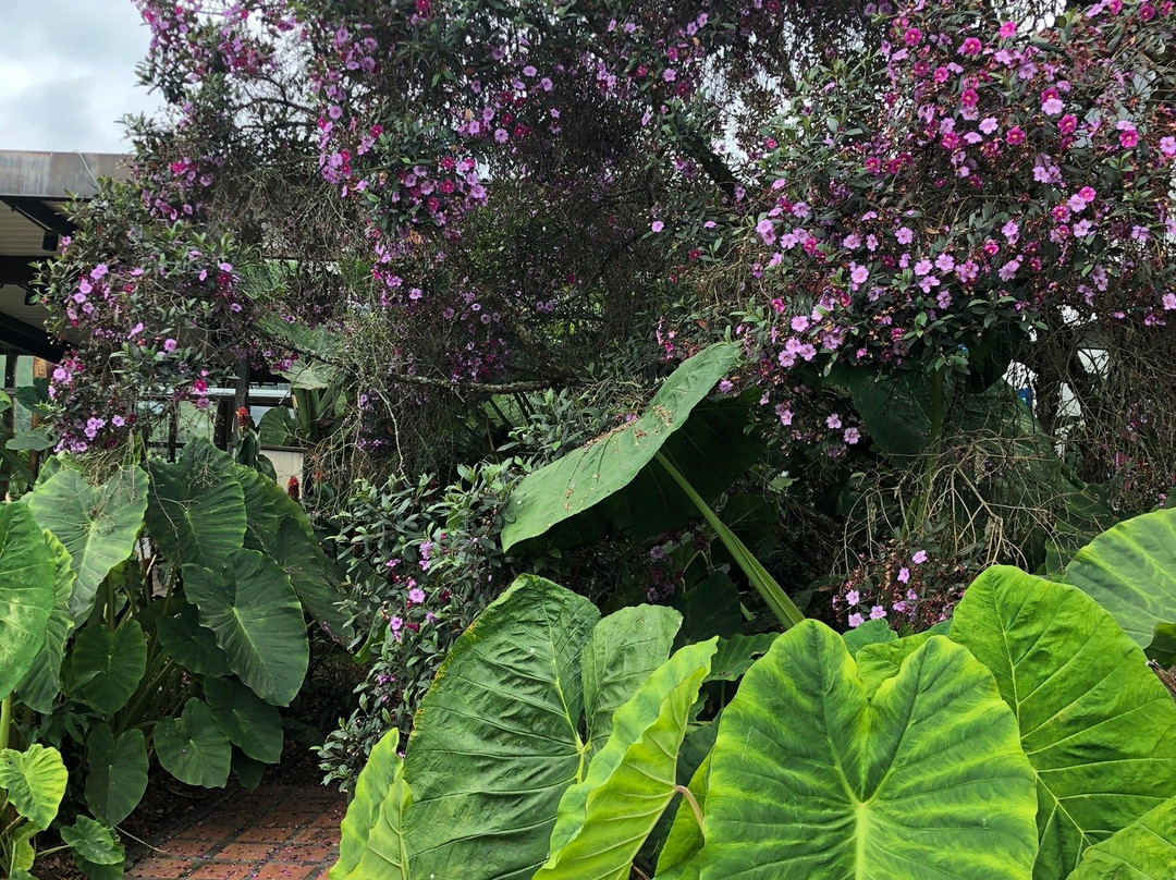 Termales El Otono Ecotermales-Manizales必去景点