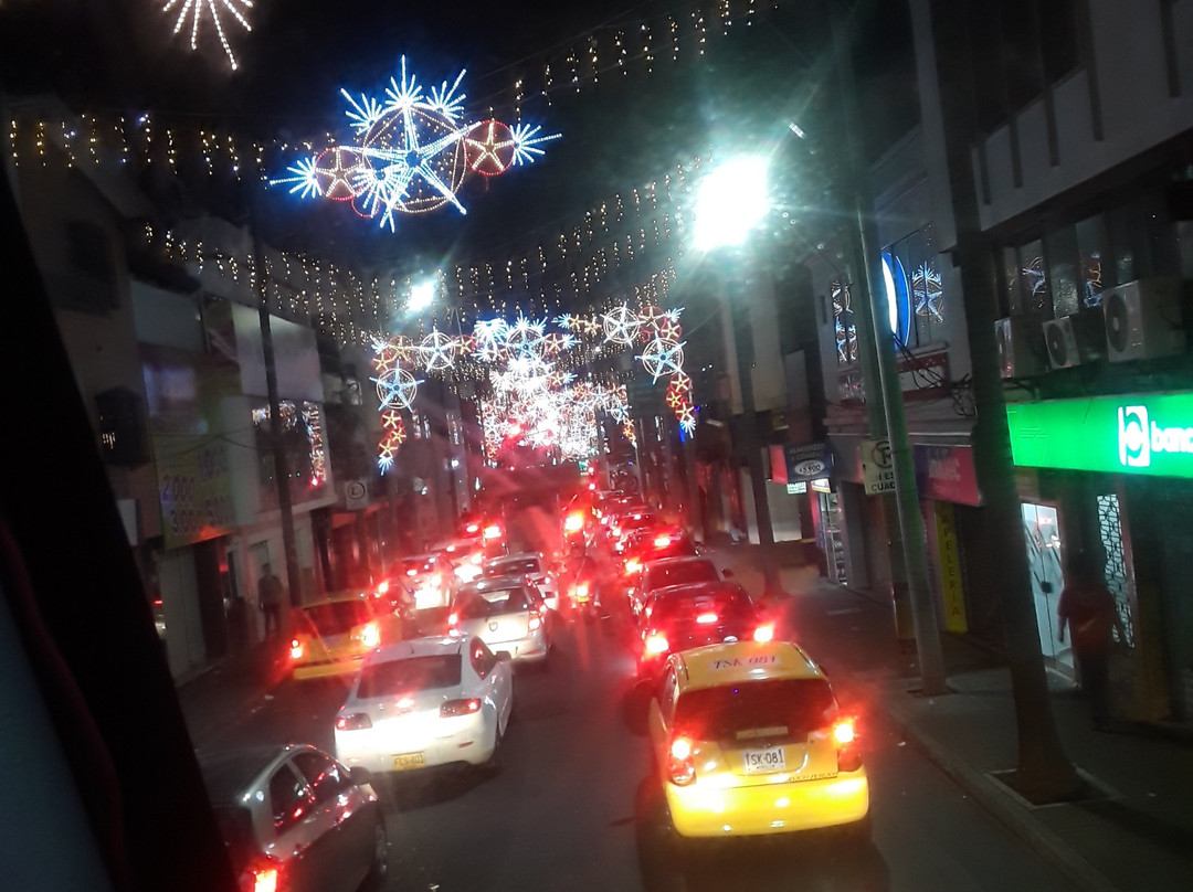 Turibus Colombia-麦德林必去景点