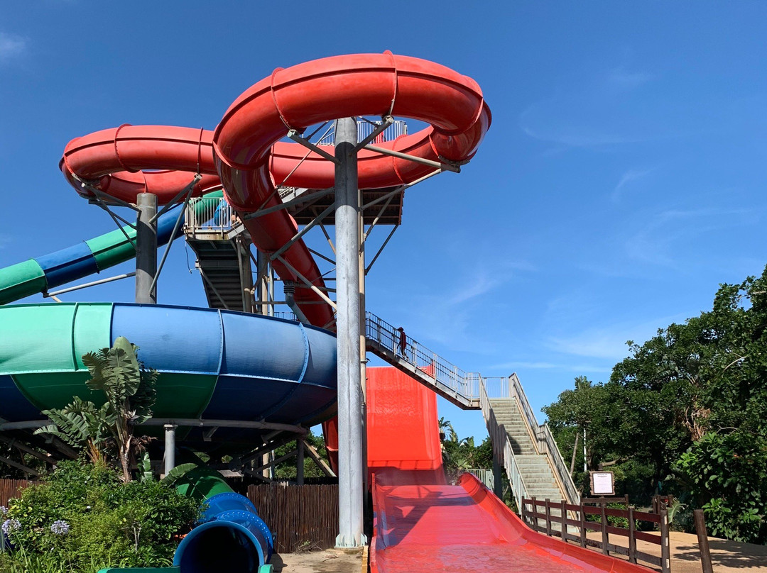 Wild Waves Water Park景点图片