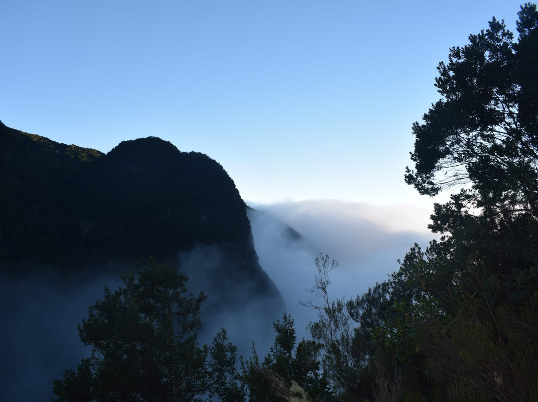 Parque Florestal das Queimadas-Santana必去景点