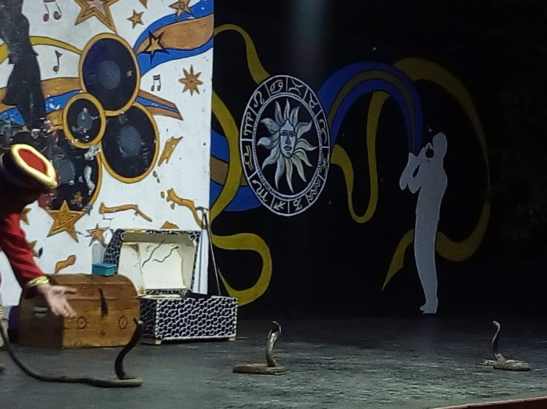 佐迪亚克酒店主图