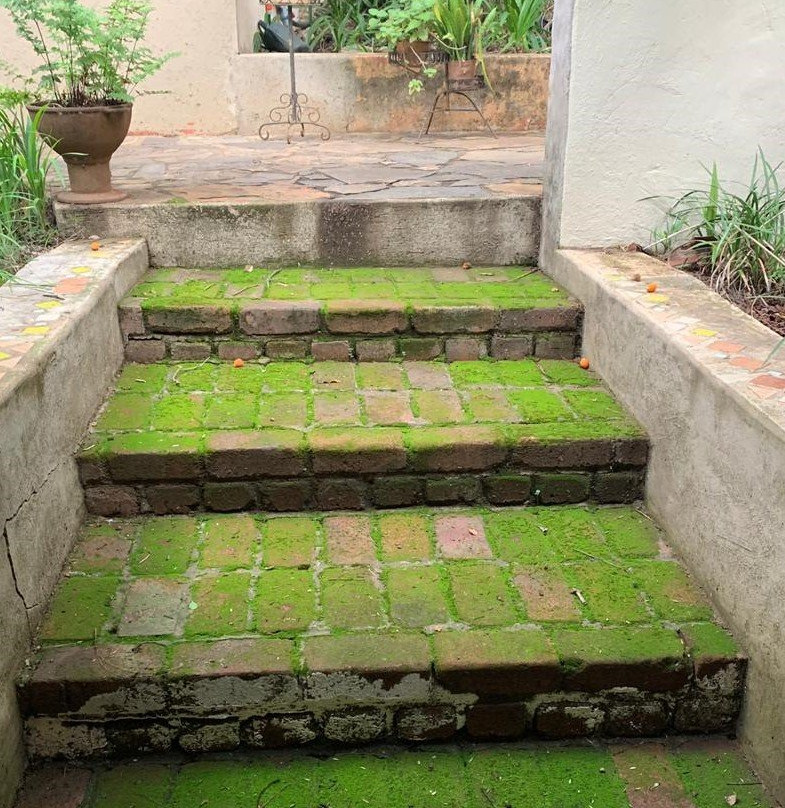 Old Joe's Kaia主图