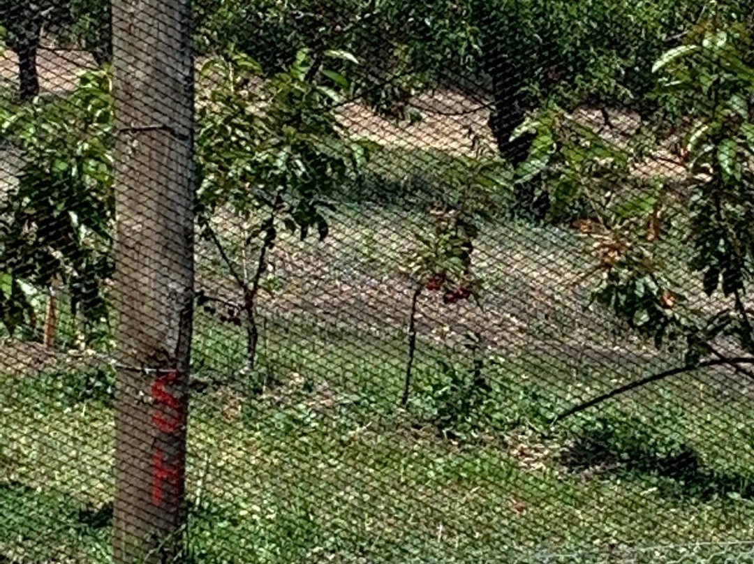 Sorell Fruit Farm-索雷尔必去景点