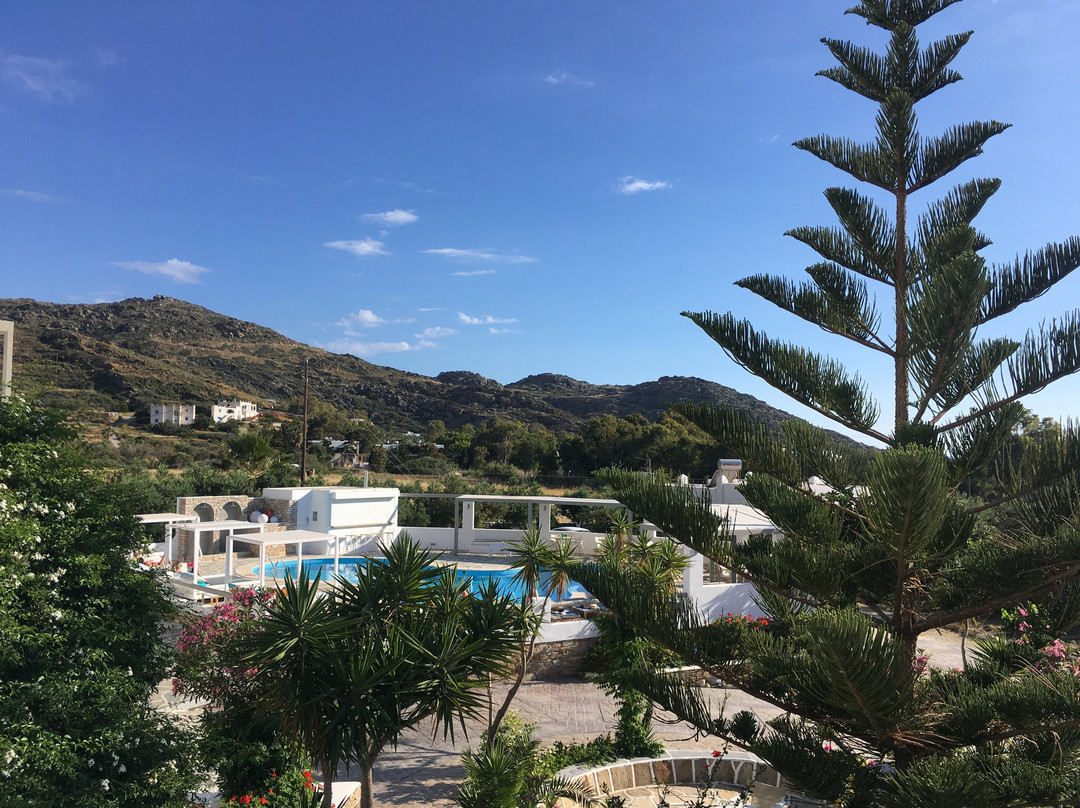 Island House Hotel主图