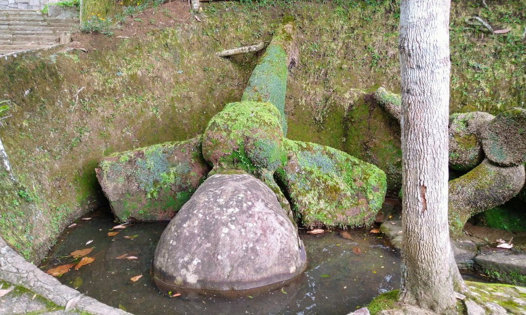 Jardim do Nêgo景点图片