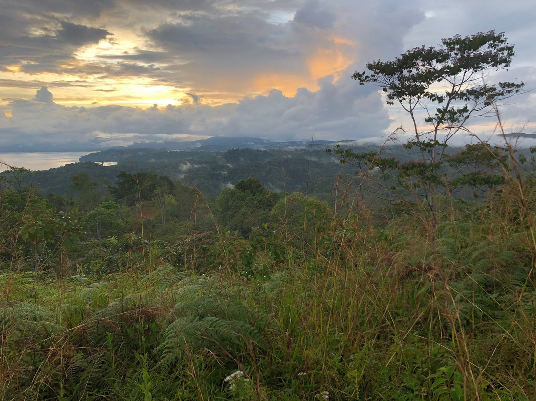 奥萨凉亭山林小屋主图
