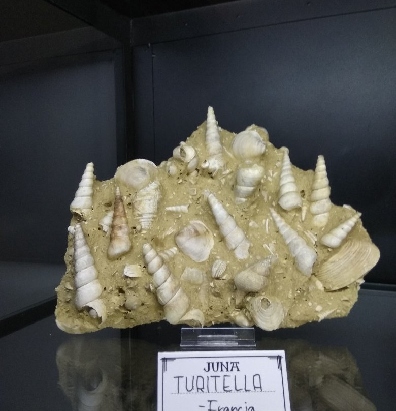 JUNA MINERALS & ROCKS Museum景点图片