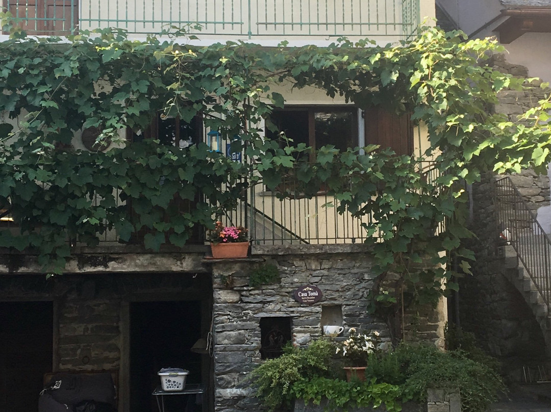 Casa Toma主图