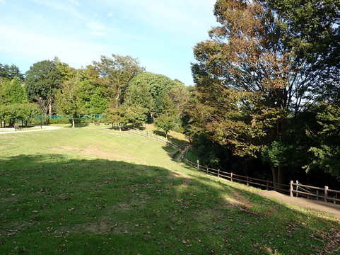 Konoyama Momoyama Park-我孙子市必去景点