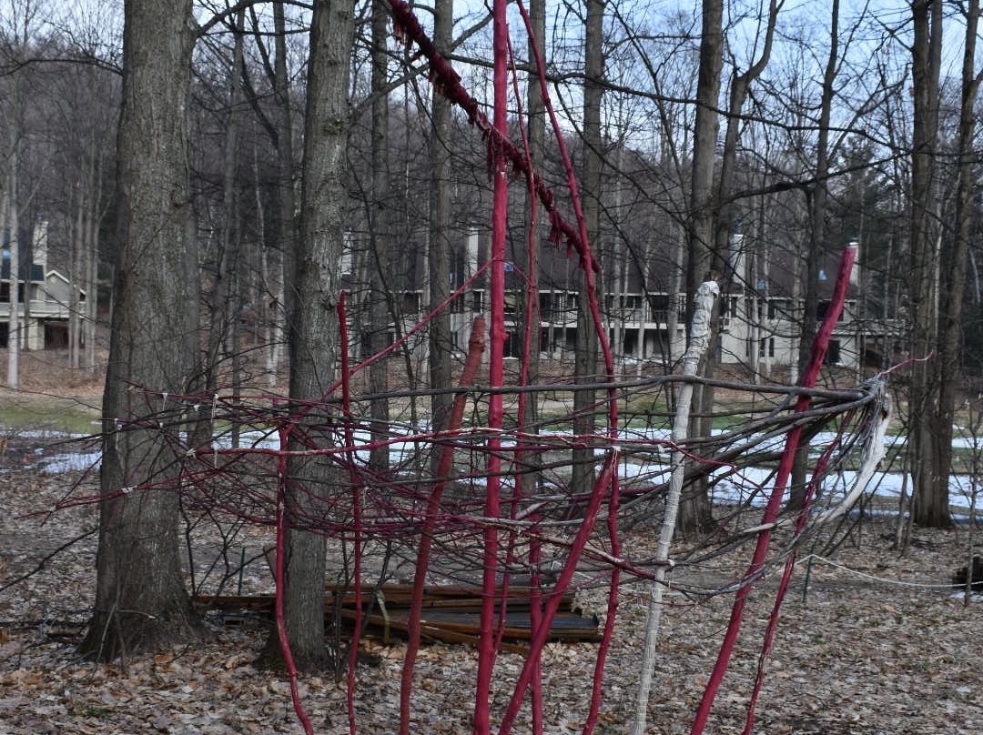 Michigan Legacy Art Park景点图片