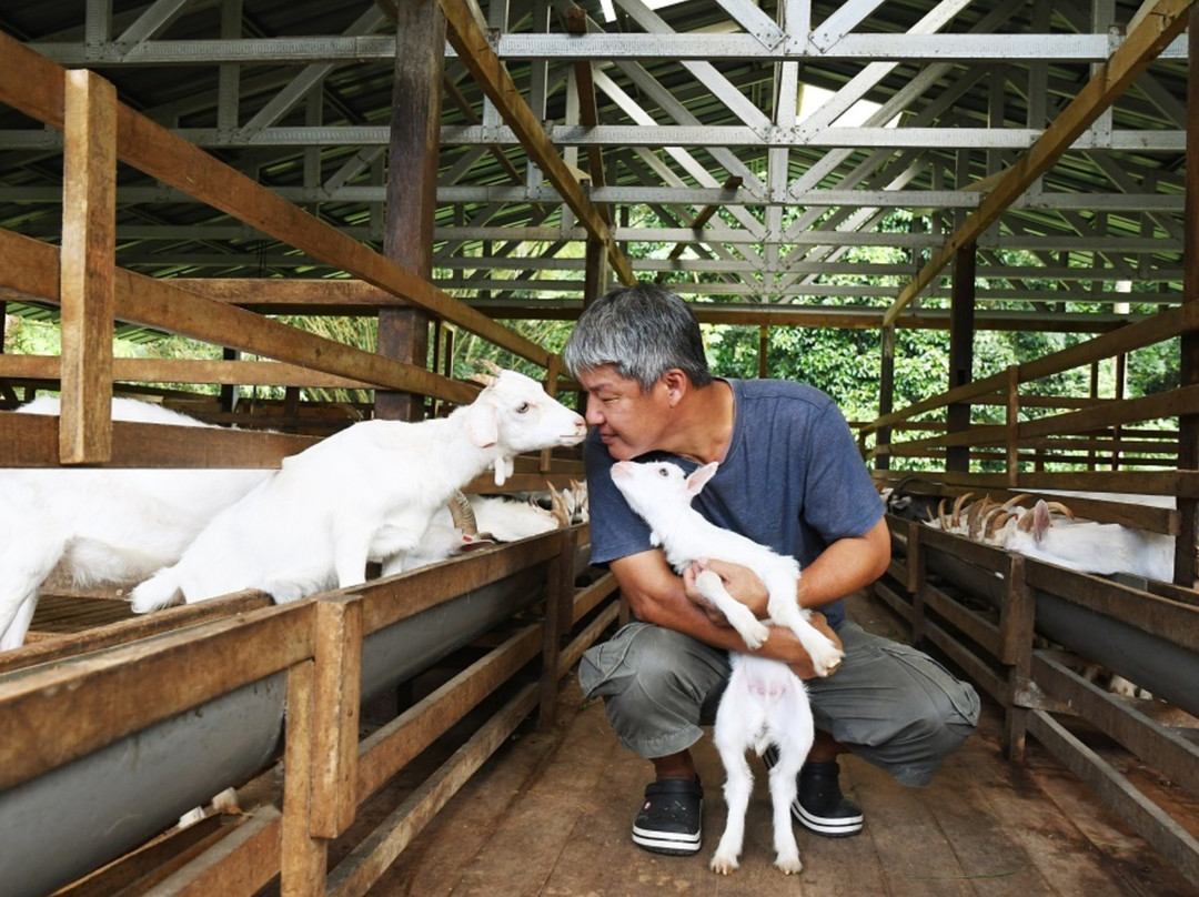 Saanen Dairy Goat Farm景点图片