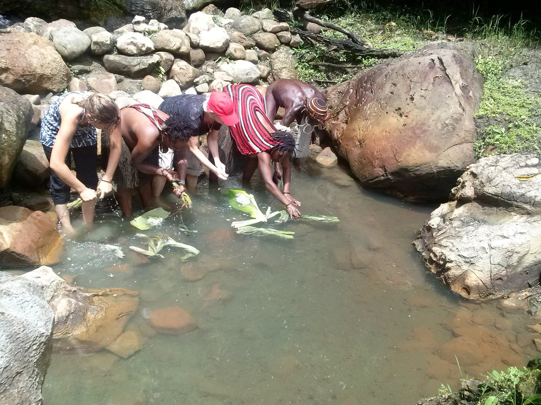 Baliem Valley Tour Guide景点图片