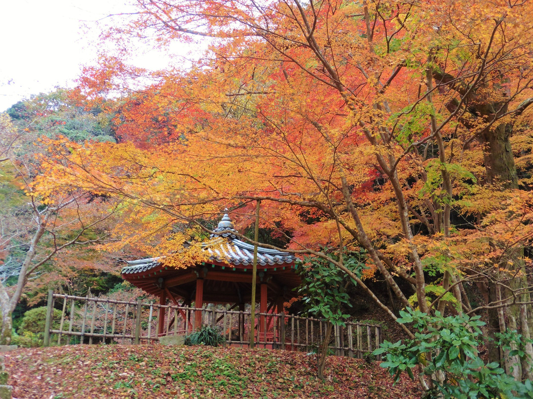Momijidani Park景点图片