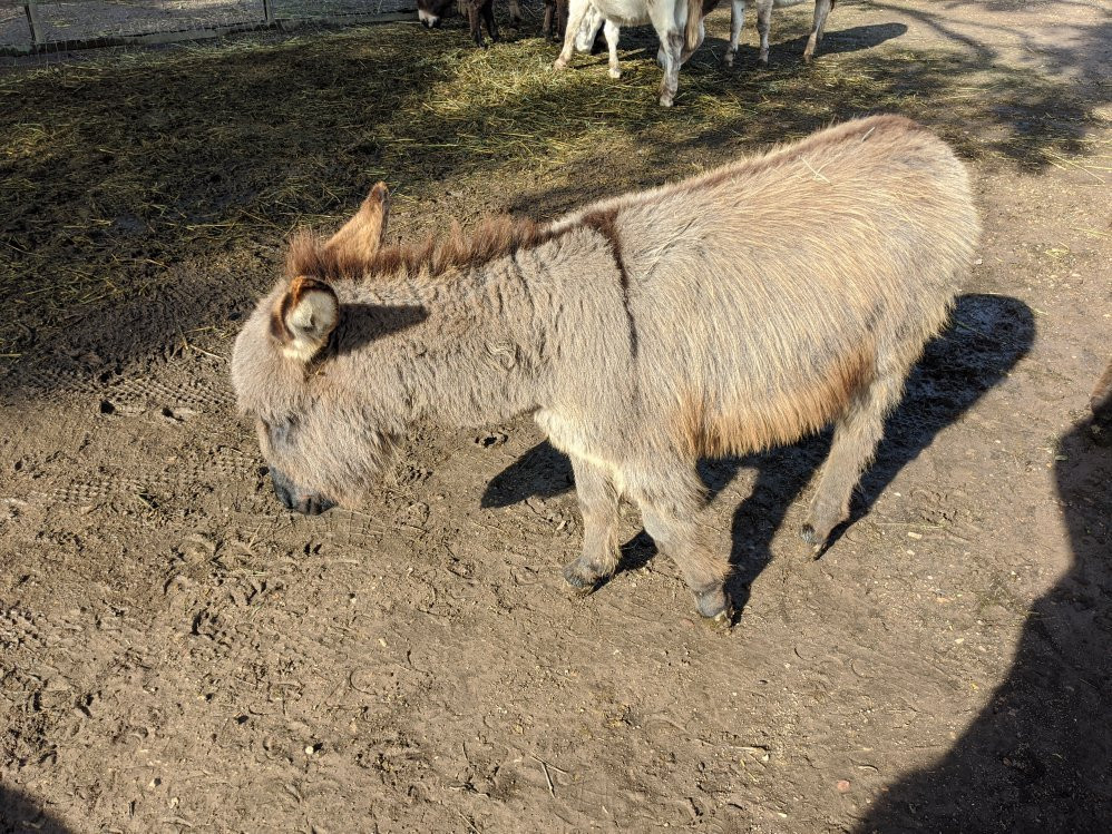 Seein' Spots Farm-索尔万必去景点