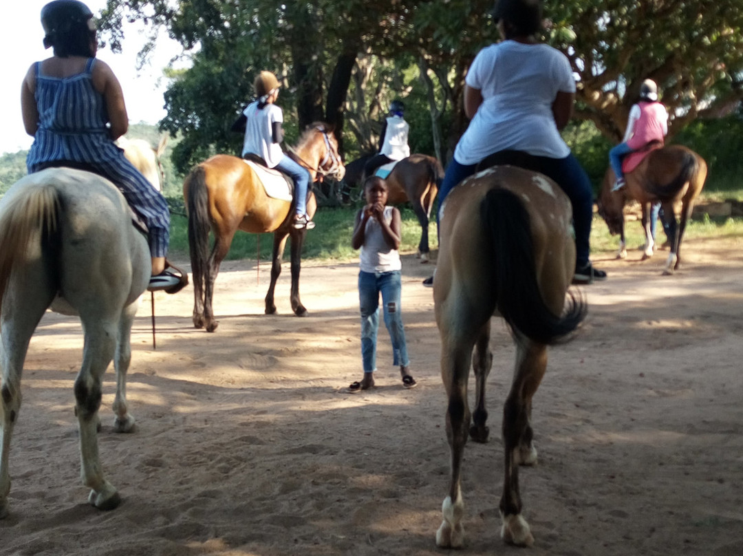 Horse Whispers-雾观必去景点