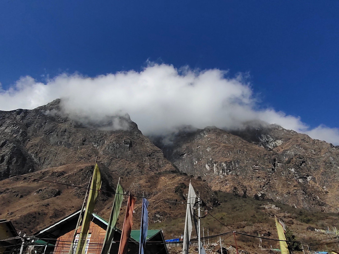 Delight Royal Lachung主图