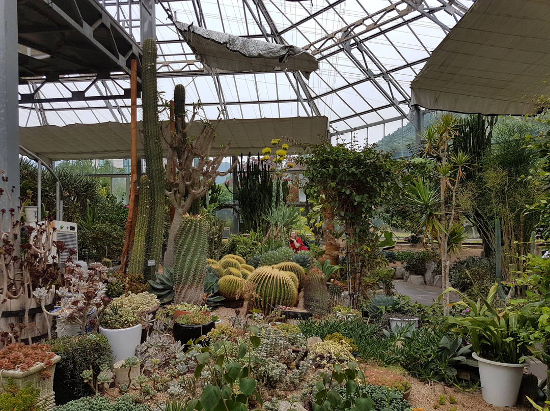 Daegu Arboretum-大邱必去景点