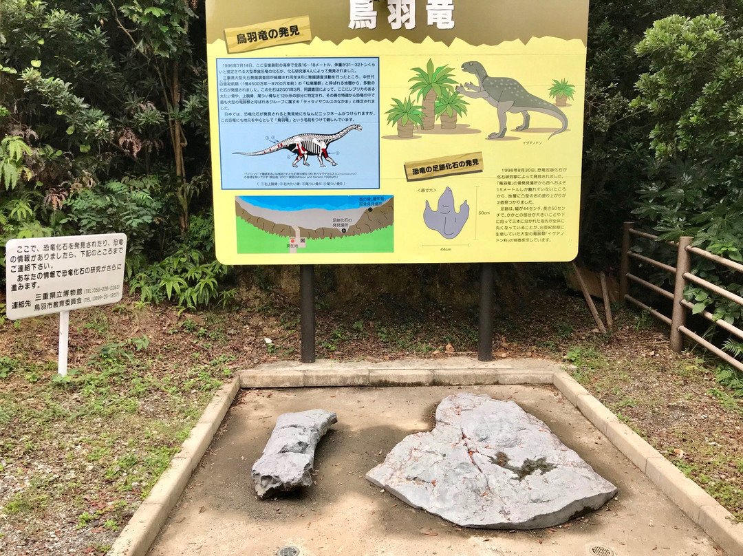 Toba Fossil Discovery Site-鸟羽市必去景点